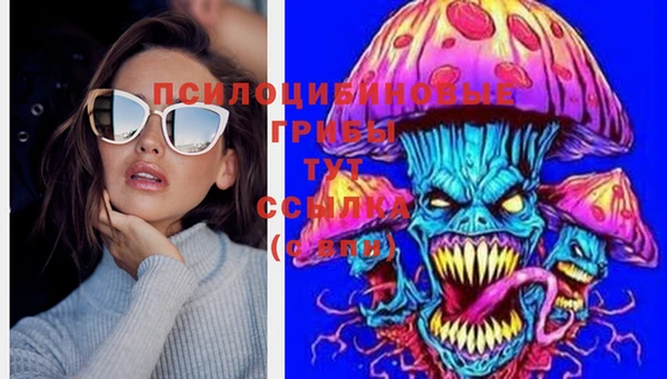 гидропоника Киреевск