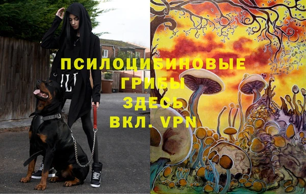 кокаин премиум Кинешма
