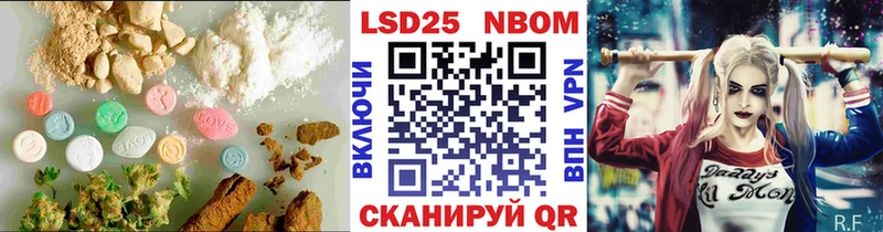 где найти наркотики  Куровское  LSD-25 экстази ecstasy 