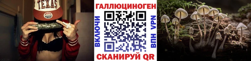 цена   Куровское  Псилоцибиновые грибы MAGIC MUSHROOMS 