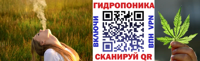 купить  сайты  Куровское  Бошки Шишки THC 21% 